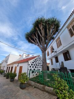 2022-10-GranCan-San_Mateo-22.jpg